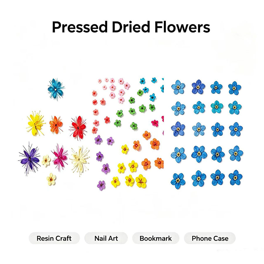 Resin Art Equipment - 60pcs Mini Pressed Dried Flowers -