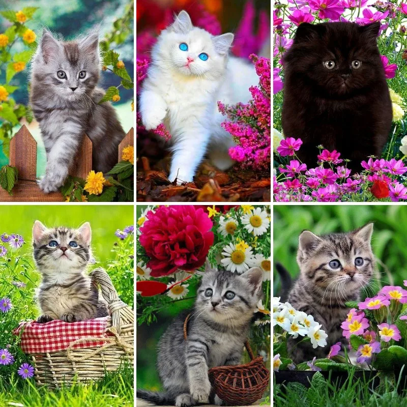 DIY 5D Diamond Painting Kits B - огляд і ціна Resin Art Baby