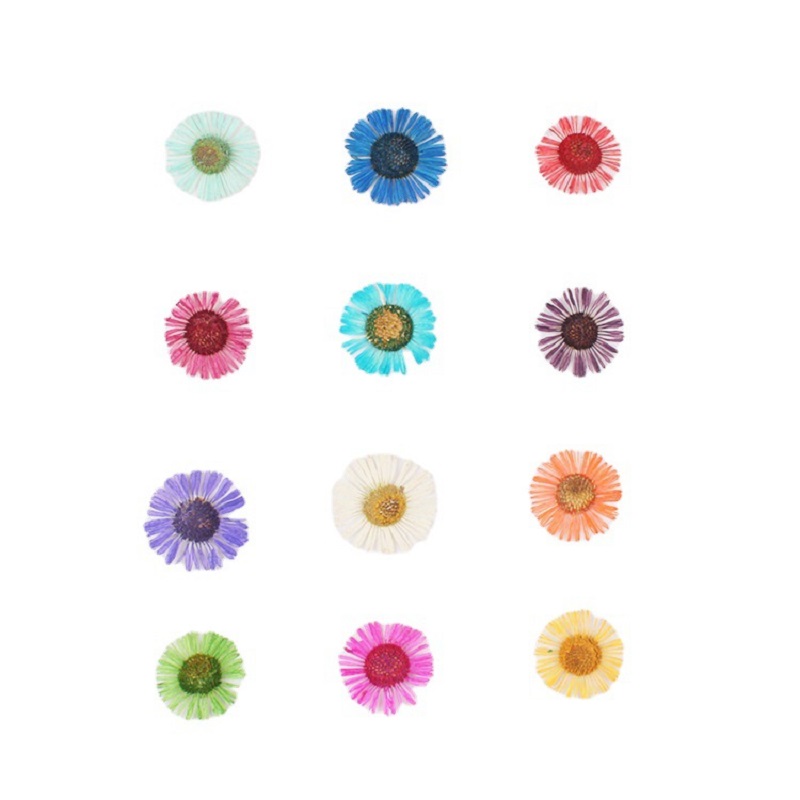 1 Set Pressed Dried Flower Eri - огляд і ціна Resin Art Baby