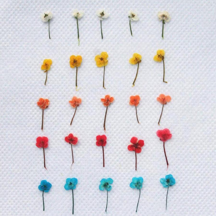 60pcs Mini Pressed Dried Flowe - огляд і ціна Resin Art Equipment