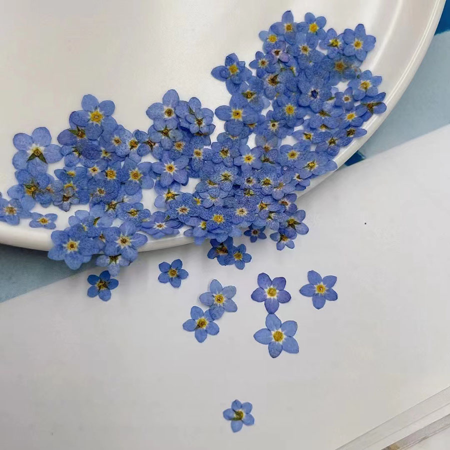 60pcs Mini Pressed Dried Flowe - огляд і ціна Resin Art Equipment