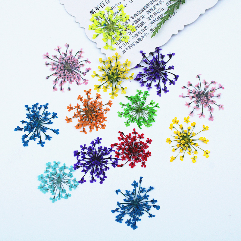 500pcs Lace Flowers Dried Flow - огляд і ціна Resin Art Baby